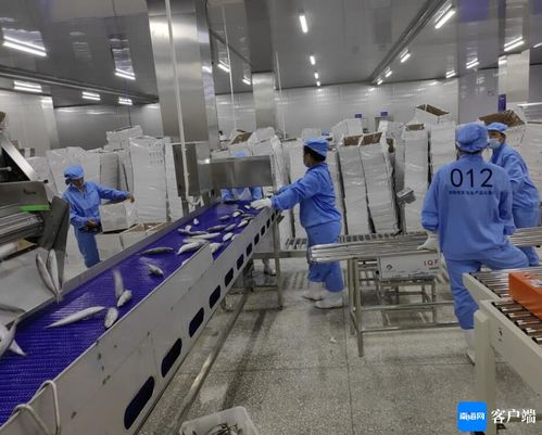 文昌約亭產(chǎn)業(yè)園發(fā)展駛上快車(chē)道，打造產(chǎn)業(yè)新高地