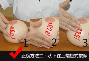 24歲財會男跨界轉型 催乳師之路，單次收費300至千元的高級職業探索